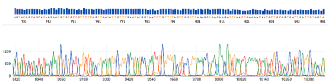 Sanger Sequencing Instrument