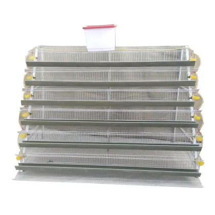 Poultry Quail Equipment: Layer Quail Cage with Automatic Feeder