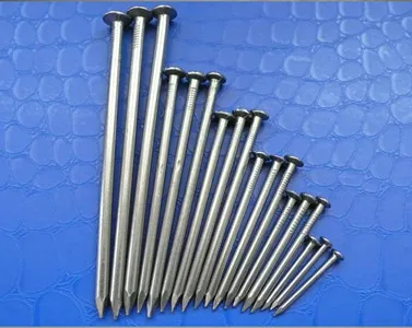Common Nails