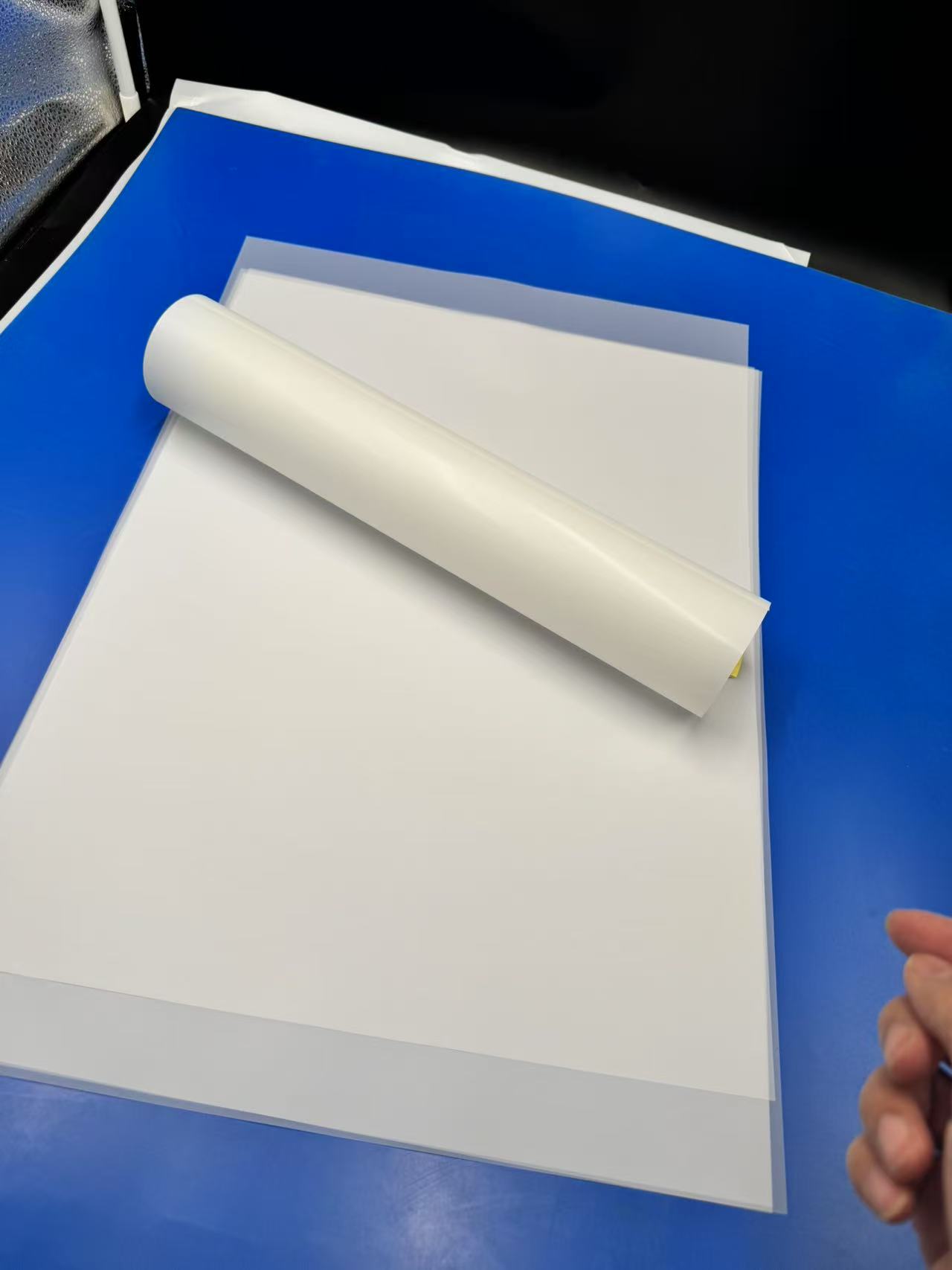 PET PETG Rigid Film