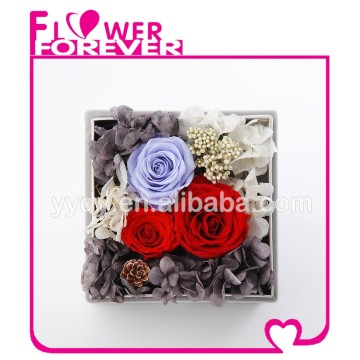 Wholesale Real Natural Preserved Roses
