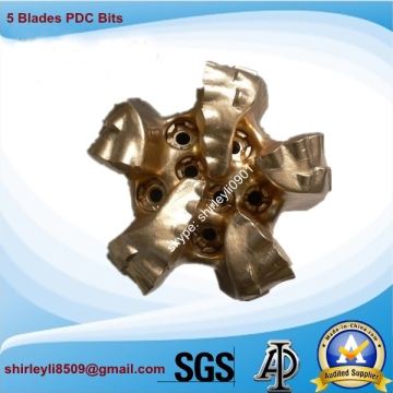 Diamond Oil Well Cutter Bit