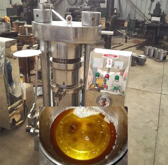 Hot Selling Hydraulic Olive Oil Press Machine