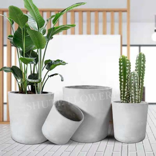 Small Cylinder Cement Flower Pots At Home