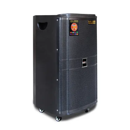 Temeisheng 15 Inch Professional Audio Video Karaoke System