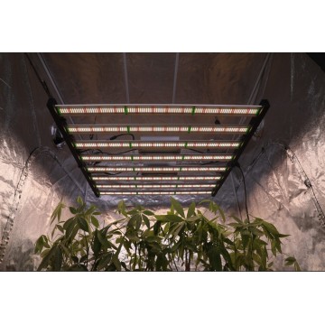 New Arrival Grow Lamp 1000W LED Grow Light