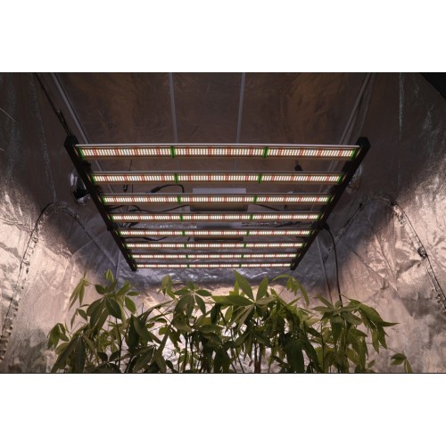 NIEUWE AANKOORDEN GROW LAMP 1000W LED GROW LICHT