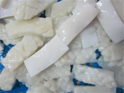 High quality frozen squid fresh squid