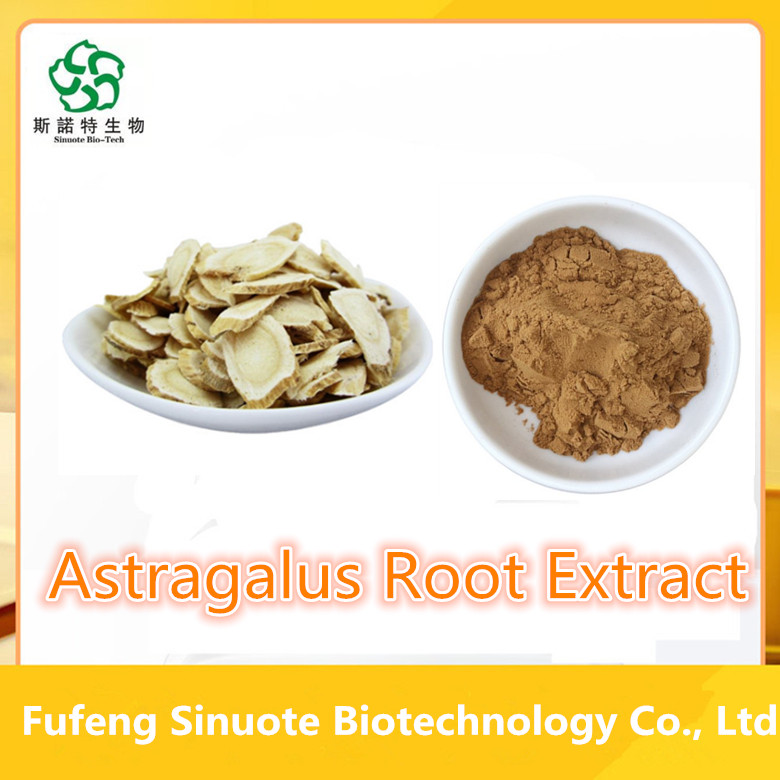 Free Sample High Quality Astragalus Root Extract Powder