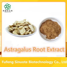 무료 샘플 고품질 Astragalus 뿌리 추출물 분말