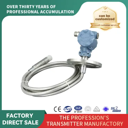 Level Transmitter: Flange Hose Type Input Level Gauge