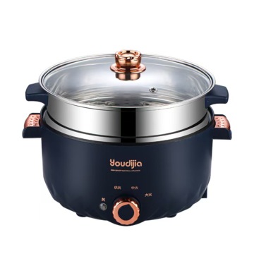 multifunctional electric cooker