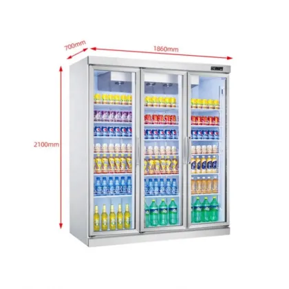 China Factory Display: Red Bull Can, Vodka Bottle, and Ice Cooler for Energy Drinks and Alcohols