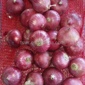 red fresh onion new season onion best quality onions round onion