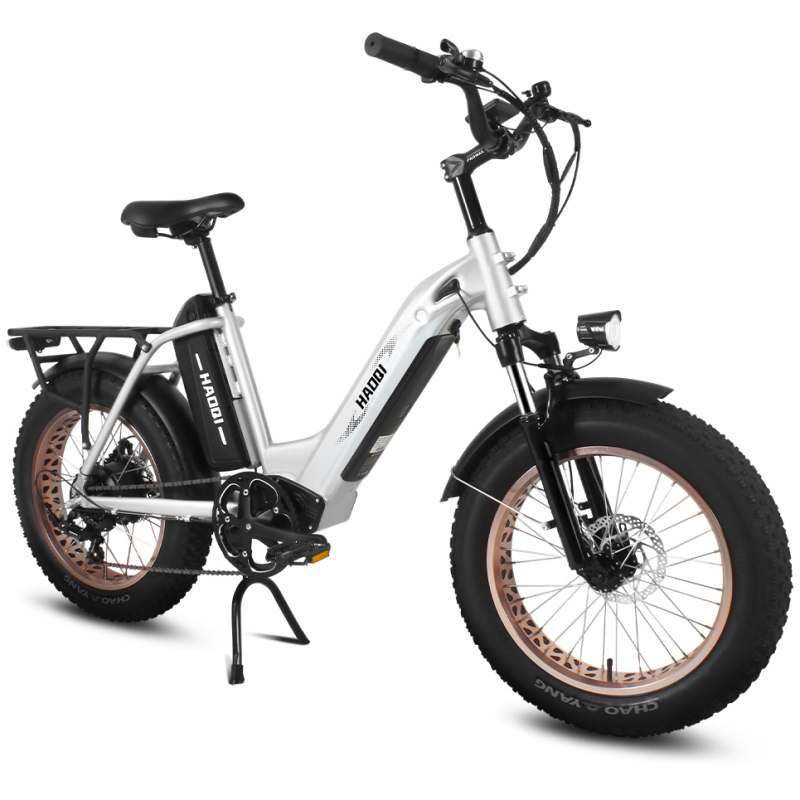 Antelope Pro 48V 25Ah Utility Fat Tire Electric Bike