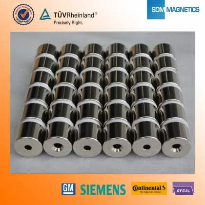 SDM Resonable Price N42 Neo Magnets