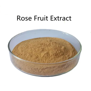 Pharmaceutical online price Rose Fruit Extract powder