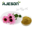 สารสกัด Echinacea ธรรมชาติบริสุทธิ์ 100%