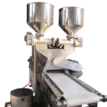 High-Quality Large Automatic Chocolate Moulding Machine for Sale