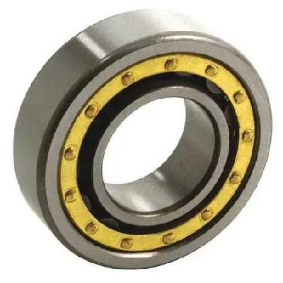 Cylindrical Roller Bearing NU 311 M NU 311 EM 55x120x29