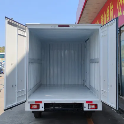 D08 Conventional van electric vehicle