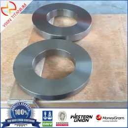 GR12 OD200*ID110*30 Titanium Alloy Forged Ring