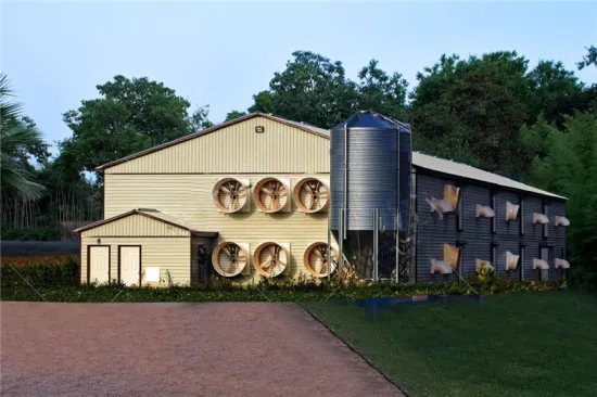 Steel Poultry Farm for Chicken Shed