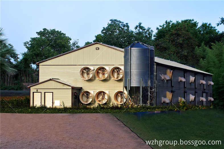 steel poultry farm for chicken shed