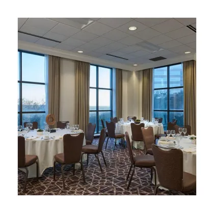 Top Quality Restaurant Axminster Wool Carpet