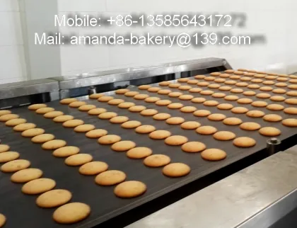 Orion Type Complete Choco Pie Cake Automatic Machine