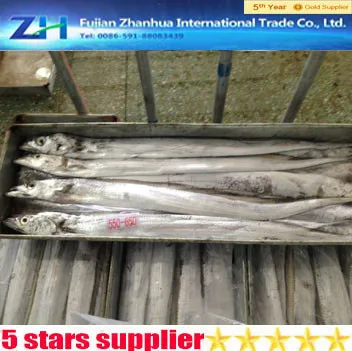 new arrived hairtail fish, frozen ribbon fish on sale