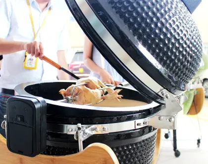 Auplex Wholesale Ceramic BBQ Kamado Joe Grill Accessories