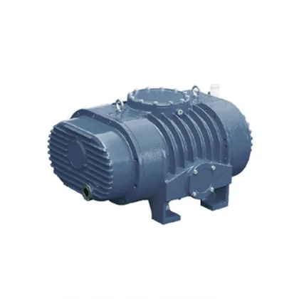 Roots Vacuum Pump System