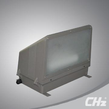 100W Induction garden lamp TY05 most popular