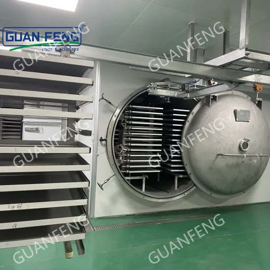 Home Use Electric Vacuum Freeze Dryer Machine for Fruits and Vegetables