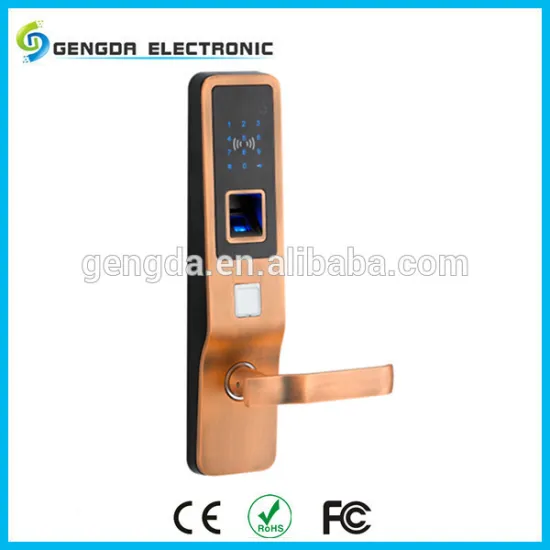 6V Outdoor Electric Fingerprint Password Lock Set With Anti-theft Mortise