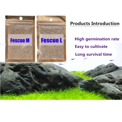 Quality Aquarium Real Aquatic Plants