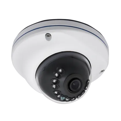 High Quality 1080P Night Vision IR IP66 Vandal Proof Security Camera with Sony Sensor