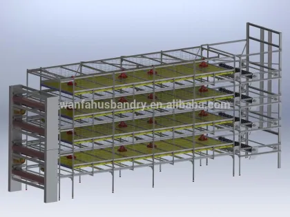 poultry farm broiler rooster cage