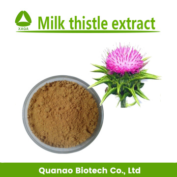 Milk Thistle Extract Powder Silymarin 80%
