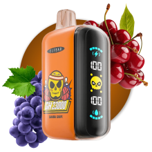 Elfbar GH23000 нэг удаагийн Vape Store нь онлайн Европыг худалдаж авдаг