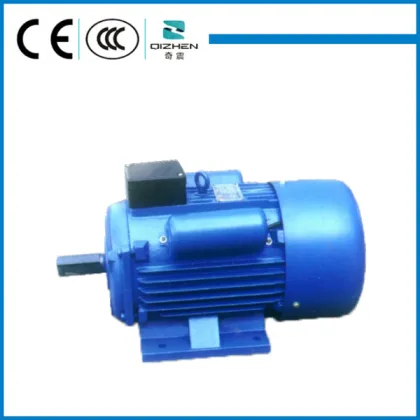 YL series single-phase Micro Wave Electric Motor