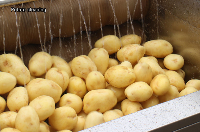 industrial potato peeler machine
