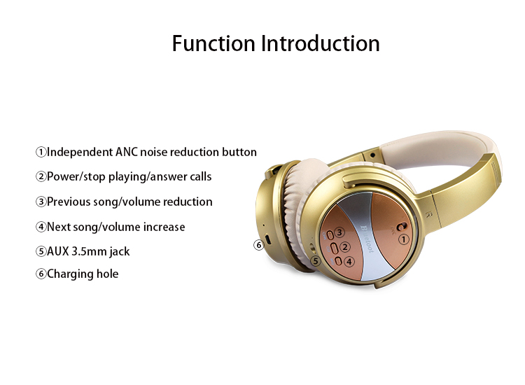H1012 ANC headphones