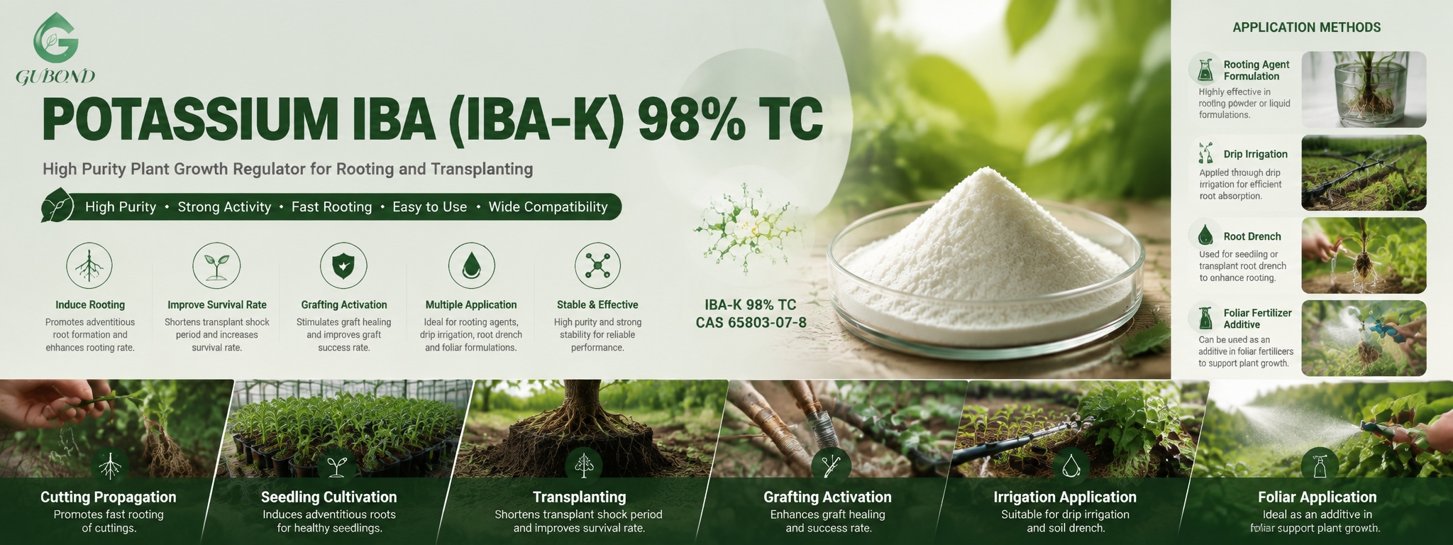 Potassium IBA (IBA‑K) 98% (2)