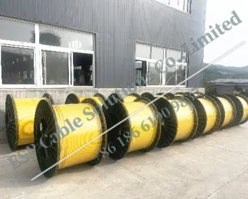 Tubing encasulated line
