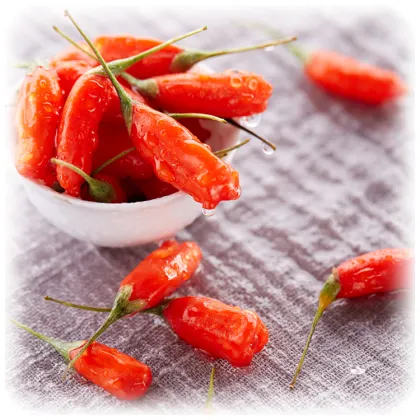 Red Power QIZITO fresh goji berries semilla de goji goji fruit