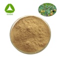 Cascara Sagrada Bark Extract Sanddorn Skin Powder 10:1