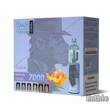 Cool Mint RandM 7000puffs