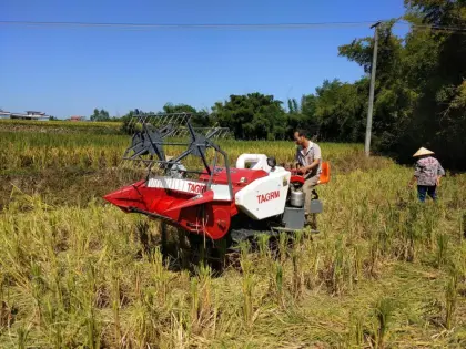 Rice Wheat Combine Harvester With Good Price